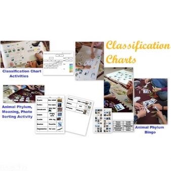 Classification Charts